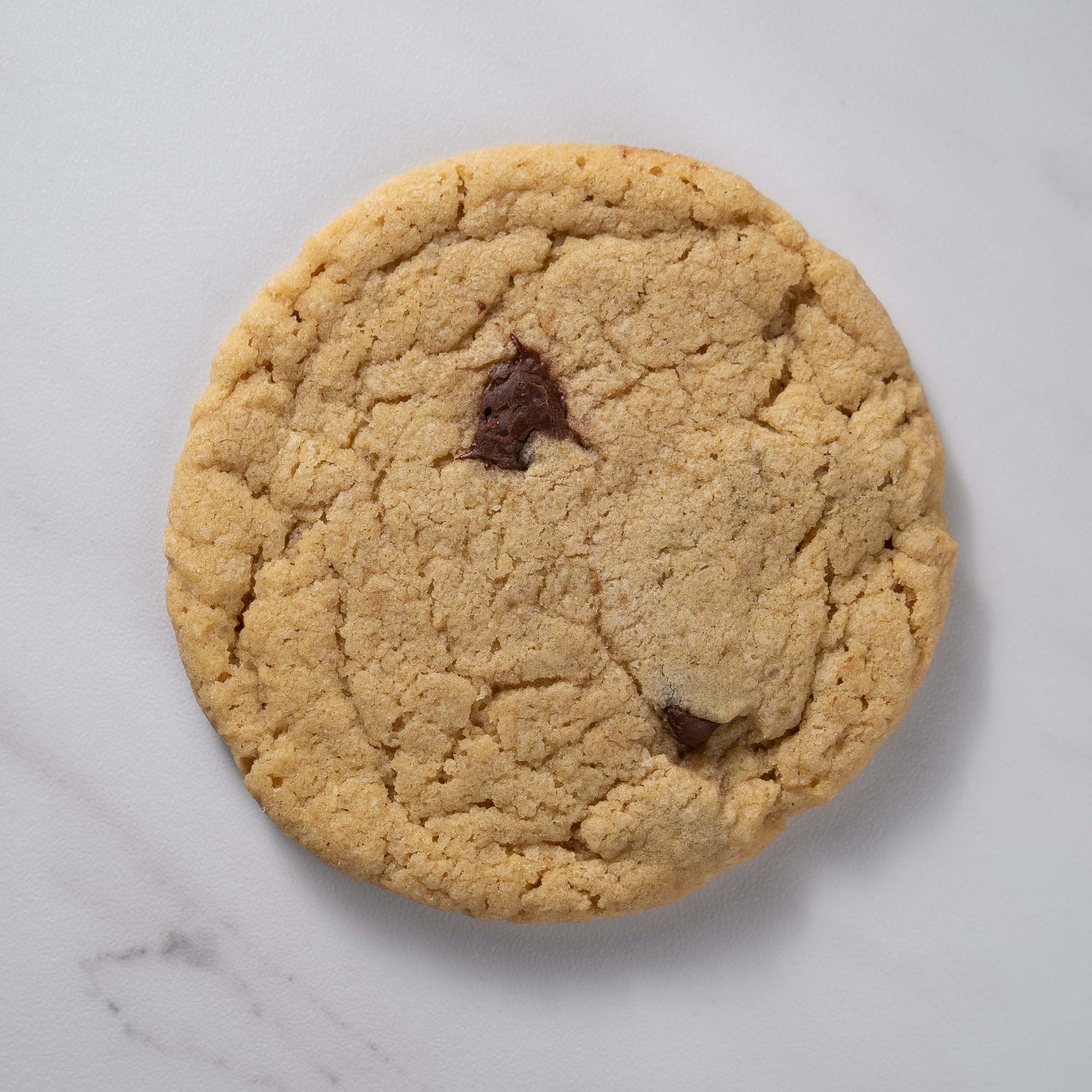 Chocolate Chip Cookie (Half-Dozen)